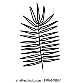Fern Blatt doodle handgezeichnet Illustration. Das Design der Kinder ist sorgfältig gestaltet und gestaltet.