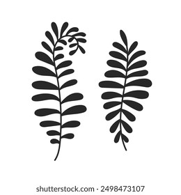 Fern Leaf Doodle Set. Decorative Bracken twigs. Palm leaves  black silhouettes. Isolated vector illustration. Nature notanical element