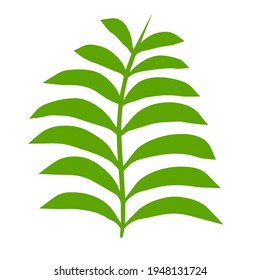 Fern leaf. Element of nature and the forest. Green bracken plant. Flat cartoon illustration isolated on white