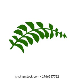 Fern leaf. Element of nature and the forest. Green bracken plant. Flat cartoon illustration isolated on white