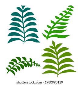 Fern leaf. Element of nature and the forest. Green bracken plant. Set of Flat cartoon illustration isolated on white