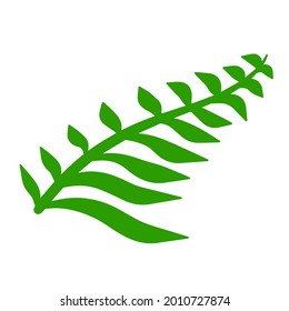 Fern leaf. Element of nature and the forest. Green bracken plant. Flat cartoon illustration isolated on white
