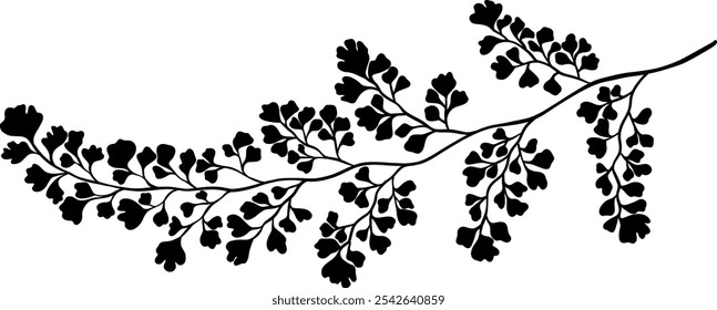 Fern leaf foliage silhouette vector illustration, elegant decorative plant shape isolated