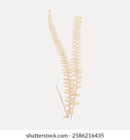 Fern leaf gold illustration isolated on white, vector. 