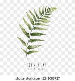 fern leaf hand drawn watercolor painting