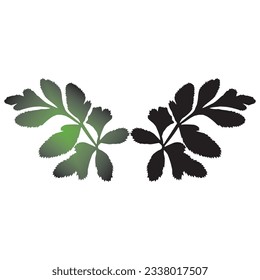 fern leaf illustration, can be used to complement the leaves on the background of the image