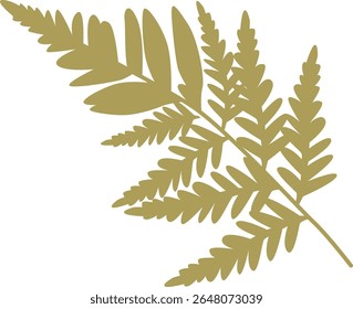 Hoja de helecho elemento natural Ilustración vectorial