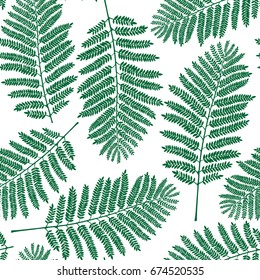 Fern leaf pattern