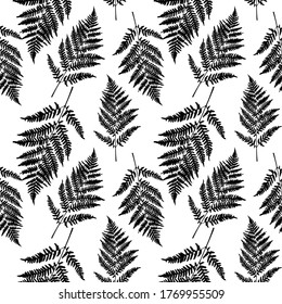 Fern leaf seamless pattern background. Vector Illustration EPS10