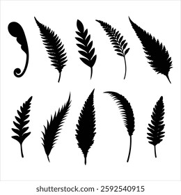 Fern Leaf Silhouette Set Vector Illustration Bundle Minimalist Botanical Foliage Nature Leaves Design