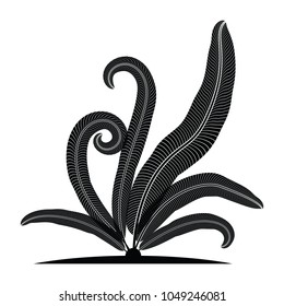 fern leaf silhouette tropical. vector illustration.
