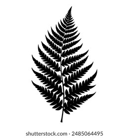 Arte vectorial de silueta de hoja de helecho