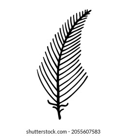 Fern leaf silhouette vector icon. Hand drawn doodle. Bracken leaves on the stem. Exotic plant outline. Black and white natural concept for decoration, postcard design, textiles, printing, stationery