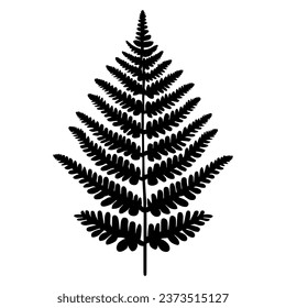 Fern leaf silhouette. Vector illustration