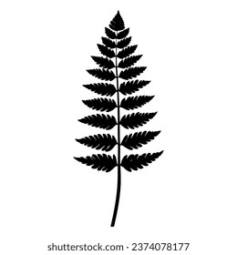 Fern leaf silhouette. Vector illustration