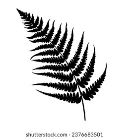Fern leaf silhouette. Vector illustration