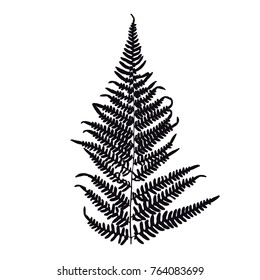 Fern leaf silhouette. Vector illustration