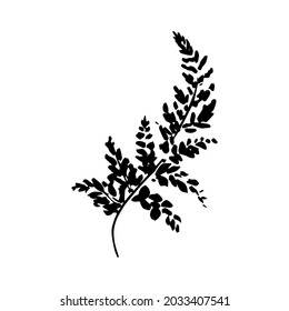 9,555 Flowers And Ferns Silhouette Images, Stock Photos & Vectors ...