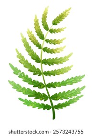 Fern leaf  with trendy noisy texture. Vector illustration on transparent background