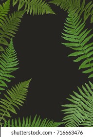 Fern Leaf Vector Background Illustration EPS10