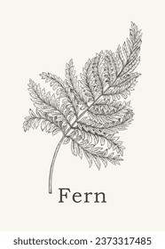 Fern leaf. Vector botanical illustration. Line art style. Organic design for labels, stickers, cosmetics, tableware. Black and white.