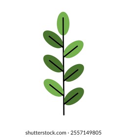 Fern Leaf Vector Illustration. Good for Botanical and Nature Art.