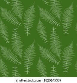 Fern Leaf Vector Fern Leaf Vector Seamless Pattern Background Illustration  EPS10