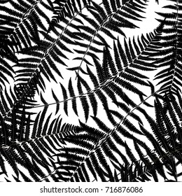 Fern Leaf Vector Fern Leaf Vector Seamless Pattern Background Illustration  EPS10