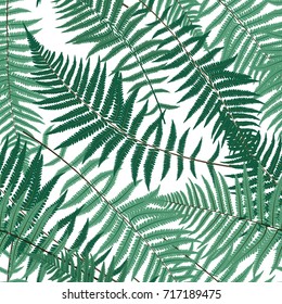 Fern Leaf Vector Fern Leaf Vector Seamless Pattern Background Illustration  EPS10