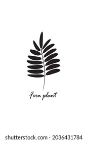 Fern-Blatt-Vektorsilhouette einzeln auf Weiß. Flachblätter-Logo. EPS10.