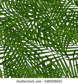 Fern leaf wallpaper. Abstract exotic plant seamless pattern. Tropical palm leaves pattern. Botanical background. Trendy fabric design. Vector illustration