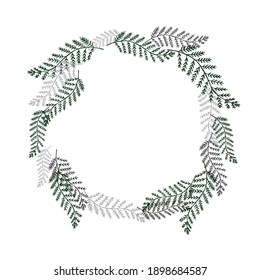 Fern leaf wreath frame. A wreath of green fern leaves. Spruce frame
