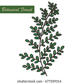 Fern leaves easy outline and pastel color vector.