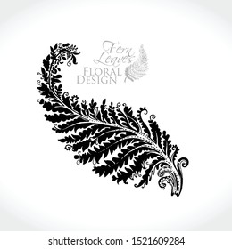 Fern Leaves Floral Design. Hand drawn fairytale fern leaf plant. Vector illustration of a beautiful decor of nature element.