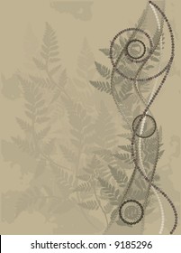 Fern leaves illustrated in an abstract background.