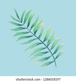 Fern leaves, jungle background, vector hand drawn watercolor illustration, realistic leaf garden