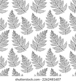 Fern leaves seamless pattern. Modern botanical line art. Floral black outline vector art.