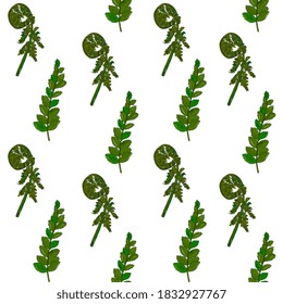 fern leaves seamless pattern. Natural background with tropical leaves.