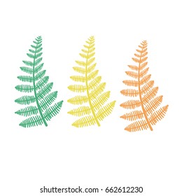 Fern leaves in spring, summer and autumn. Vector botanic set