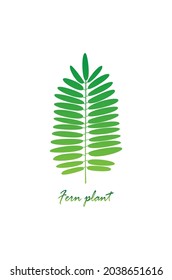 Fern leaves vector, logo design isolated on white, nature palm icon symbol.