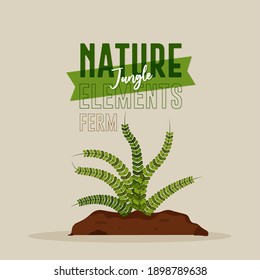 Fern nature jungle brush in green color- Vector