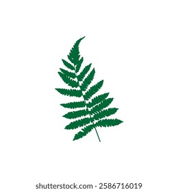 fern on a white background, icon,