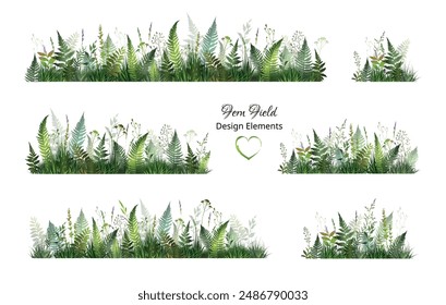 Fern parts of field. Floral set with green fern leaves and herbs. Vector illustration.