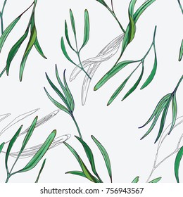 Fern Pattern / Illustration for printed on the product.