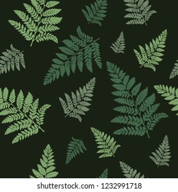 fern pattern on dark background, vector