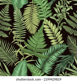 Fern pattern. Seamless print of wild forest plants, hand drawn herbal decorative elements. Vector botanical texture and rural wallpaper. Various natural green foliage for textile design