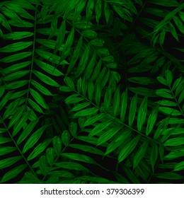 Fern pattern. Vector illustration