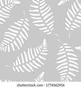 Fern plant leaf seamless pattern. Tropical botanical stock vector illustration eps10
