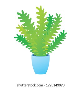 Fern plant leaves in a pot, beautiful green houseplant isolated vector.