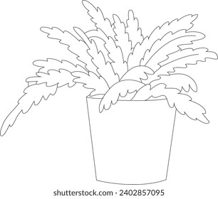 Fern plant on the pot black and white vector line art illustration  